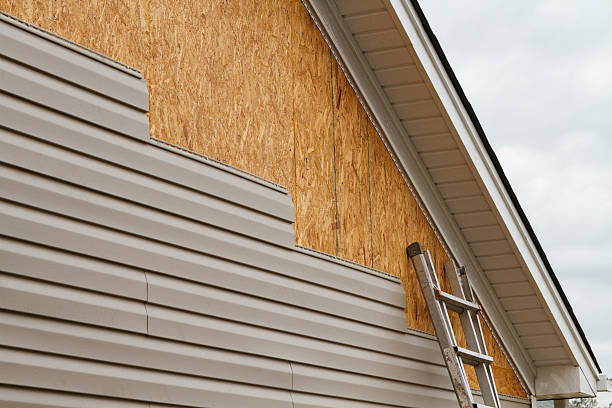 Professional Siding Inspection technician working in Braddock, VA